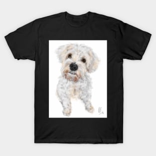 A Sweet Lovable Bichon Frise T-Shirt